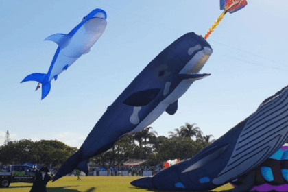 17m sperm whale kite with petunia